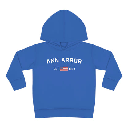 'Ann Arbor EST 1824' Hoodie (w/USA Flag Outline) | Unisex Toddler