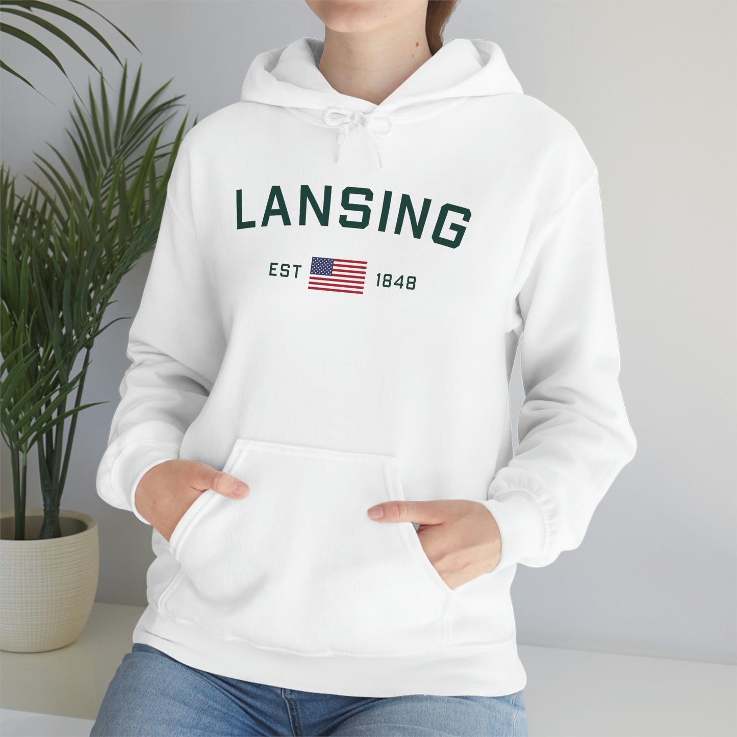 'Lansing EST 1848' Hoodie (w/USA Flag Outline) | Unisex Standard