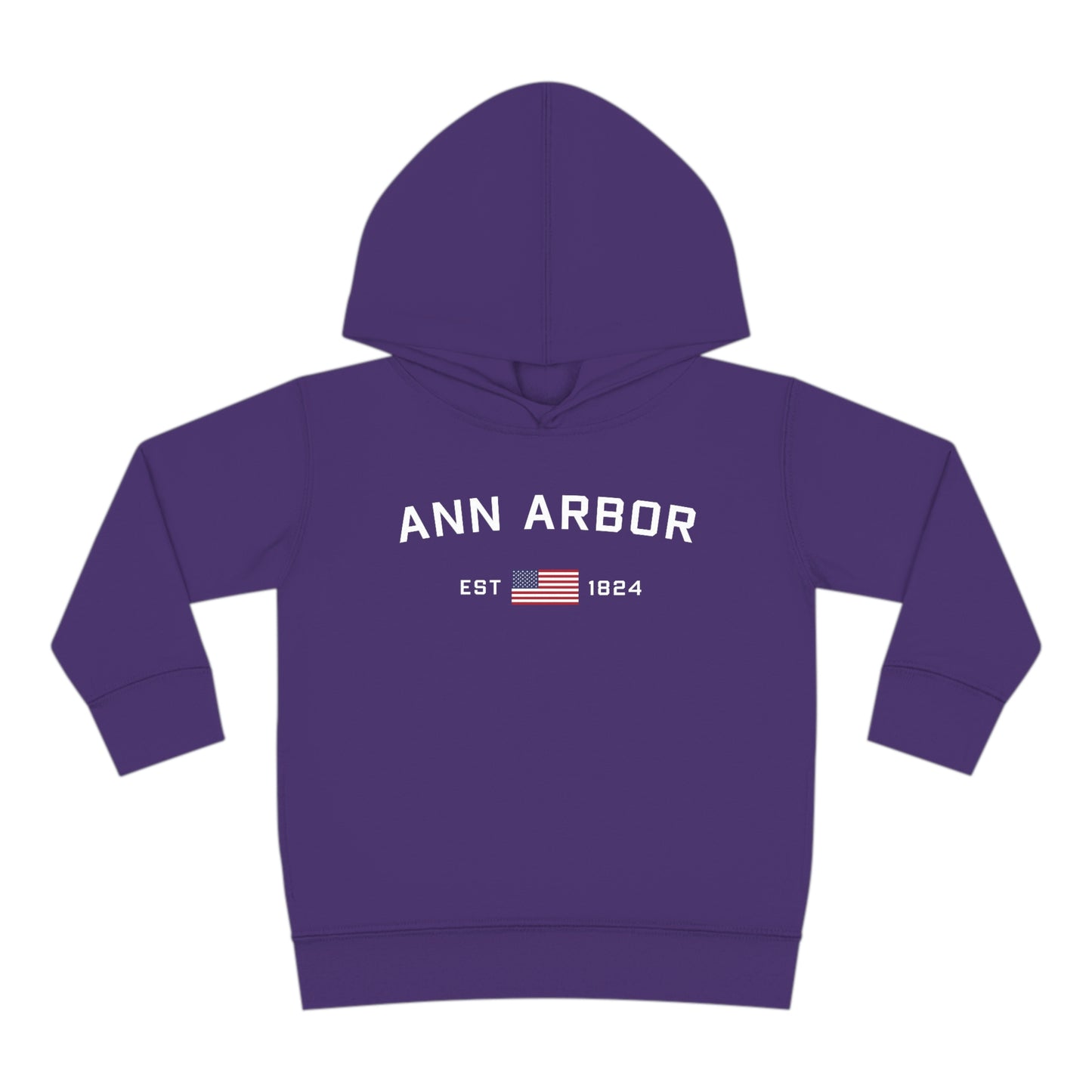 'Ann Arbor EST 1824' Hoodie (w/USA Flag Outline) | Unisex Toddler