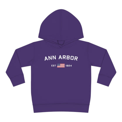 'Ann Arbor EST 1824' Hoodie (w/USA Flag Outline) | Unisex Toddler