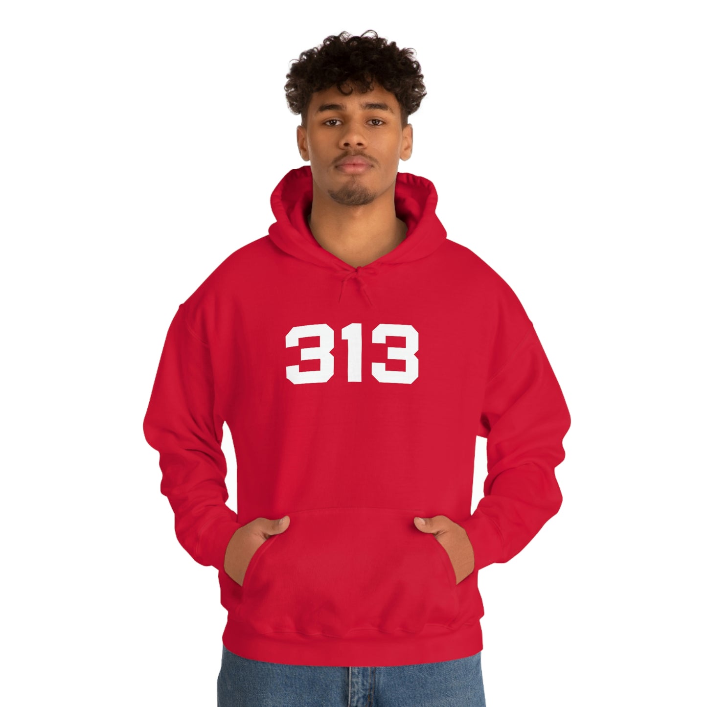 Detroit '313' Hoodie (Athletic Font) | Unisex Standard