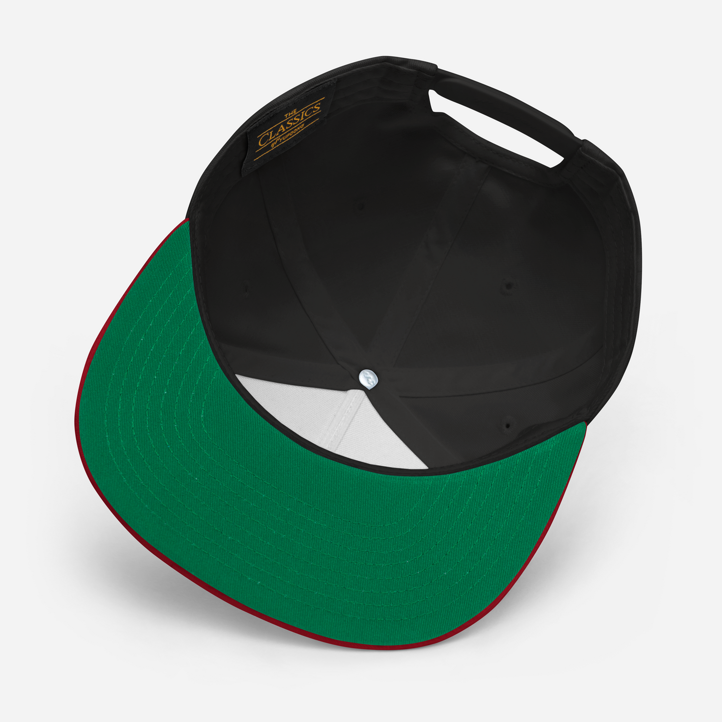 'Michigan USA' Flat Bill Snapback (Epic Sci-Fi Parody)