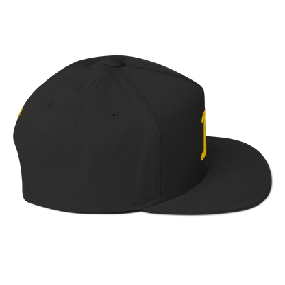 Detroit 'Old French D' Flat Bill Snapback (w/ Side Design) | Gold Embroidery