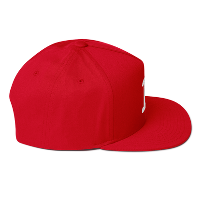 Detroit 'Old French D' Flat Bill Snapback