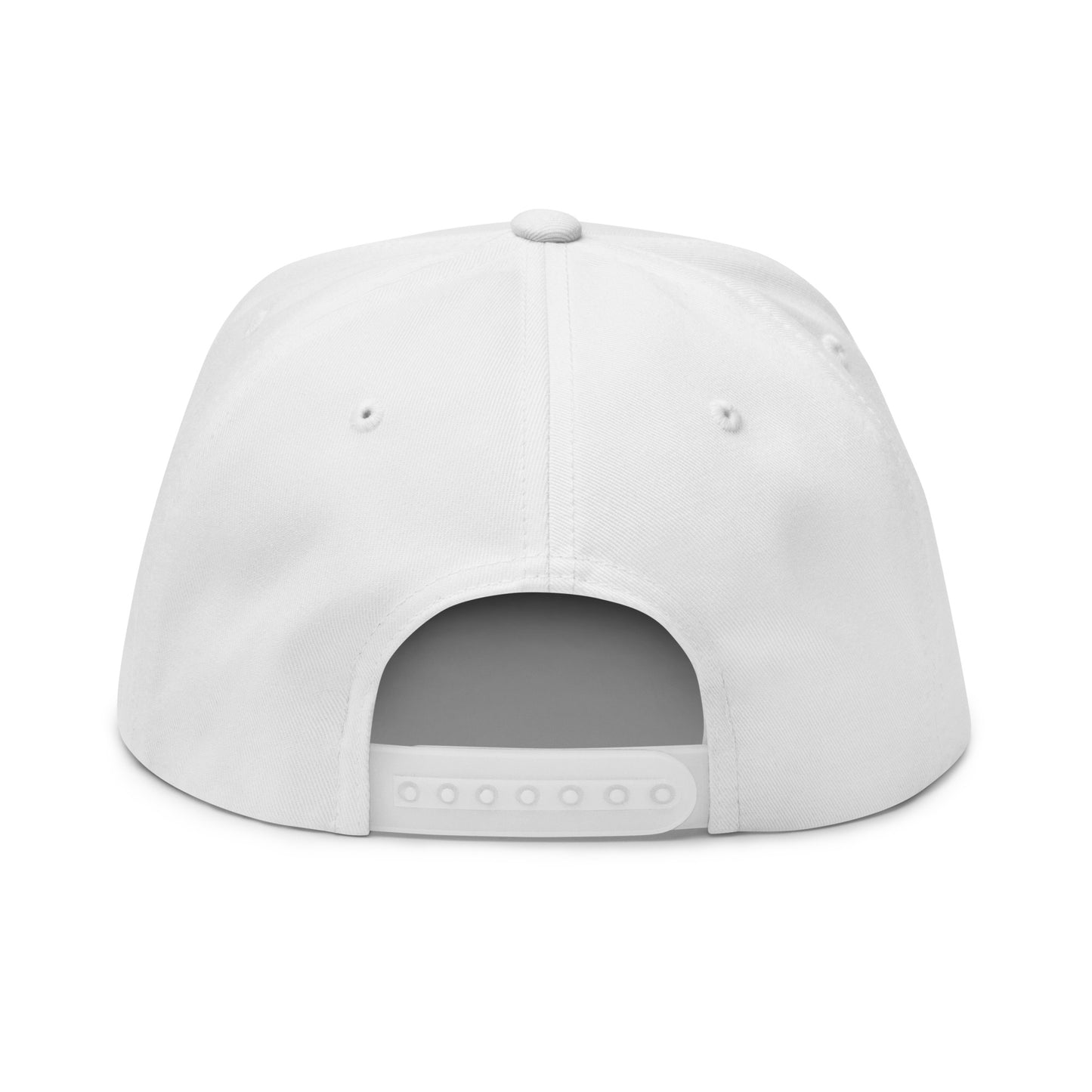 'Battle Creek Michigan' Flat Bill Snapback (w/ Michigan Outline)