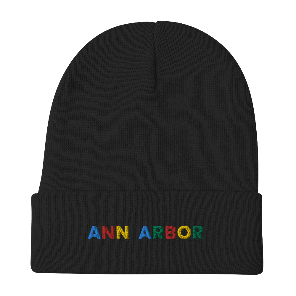 'Ann Arbor' Winter Beanie (Search Engine Parody) - Circumspice Michigan