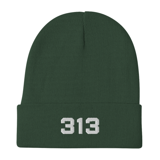 Detroit '313' Winter Beanie (White/Black Embroidery - Circumspice Michigan