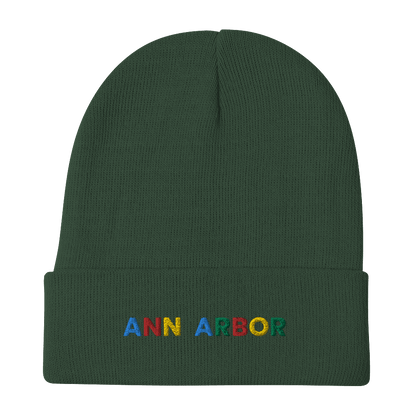 'Ann Arbor' Winter Beanie (Search Engine Parody) - Circumspice Michigan