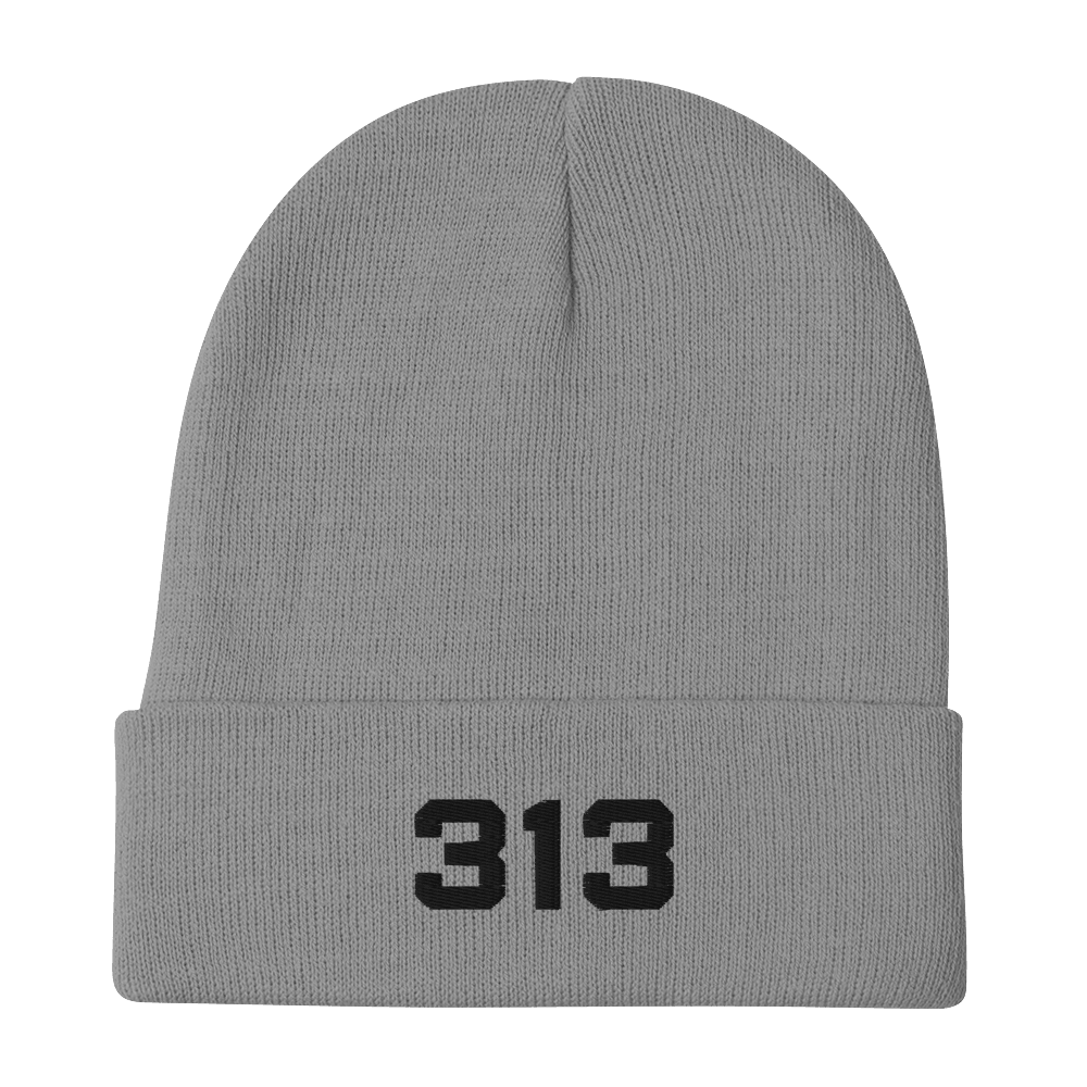 Detroit '313' Winter Beanie (White/Black Embroidery - Circumspice Michigan