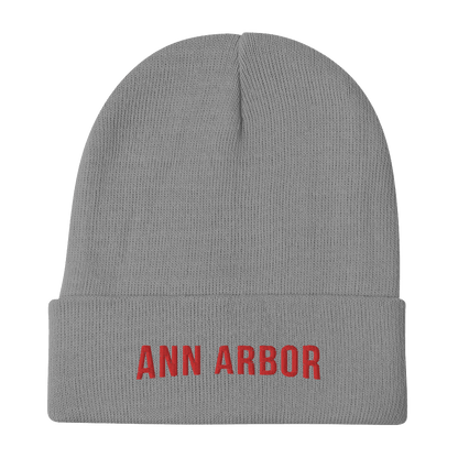 'Ann Arbor' Winter Beanie (Streaming Parody) - Circumspice Michigan