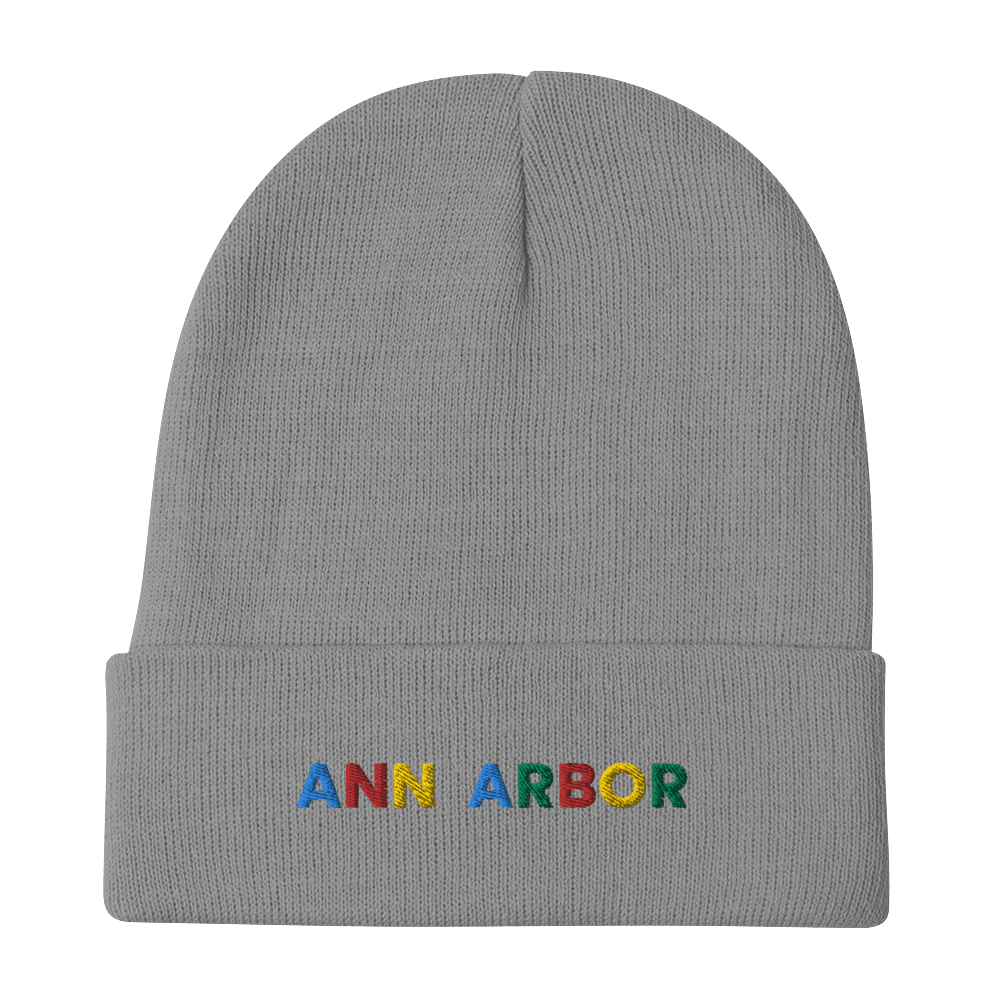 'Ann Arbor' Winter Beanie (Search Engine Parody) - Circumspice Michigan