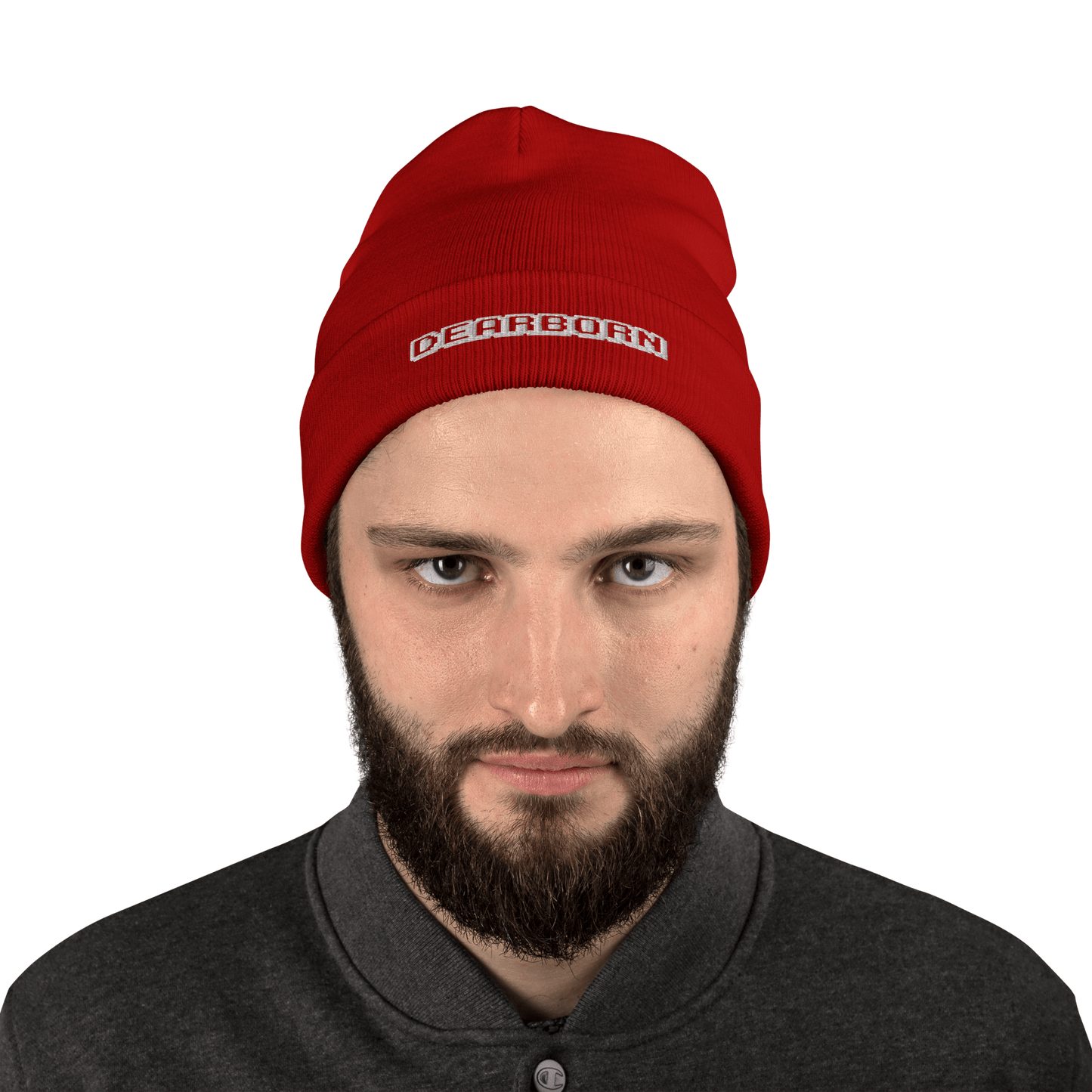 'Dearborn' Winter Beanie (Arcade Font) - Circumspice Michigan