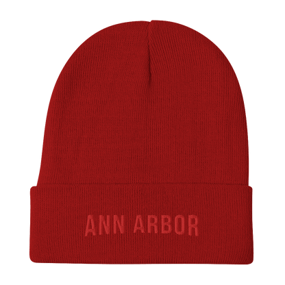 'Ann Arbor' Winter Beanie (Streaming Parody) - Circumspice Michigan