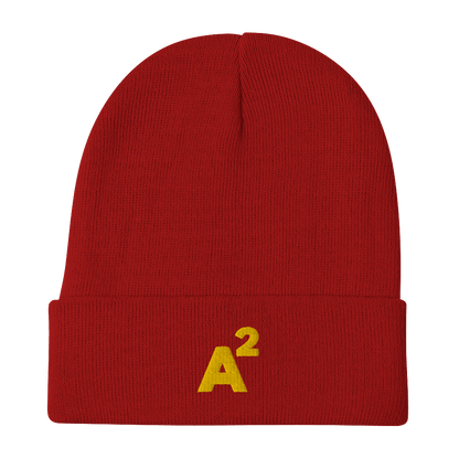 Ann Arbor 'A²' Winter Beanie (Geometric Sans Font) | Gold Embroidery - Circumspice Michigan