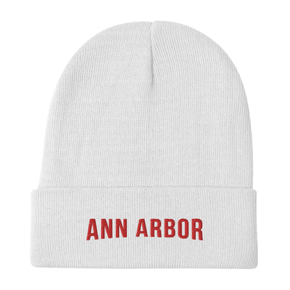 'Ann Arbor' Winter Beanie (Streaming Parody) - Circumspice Michigan