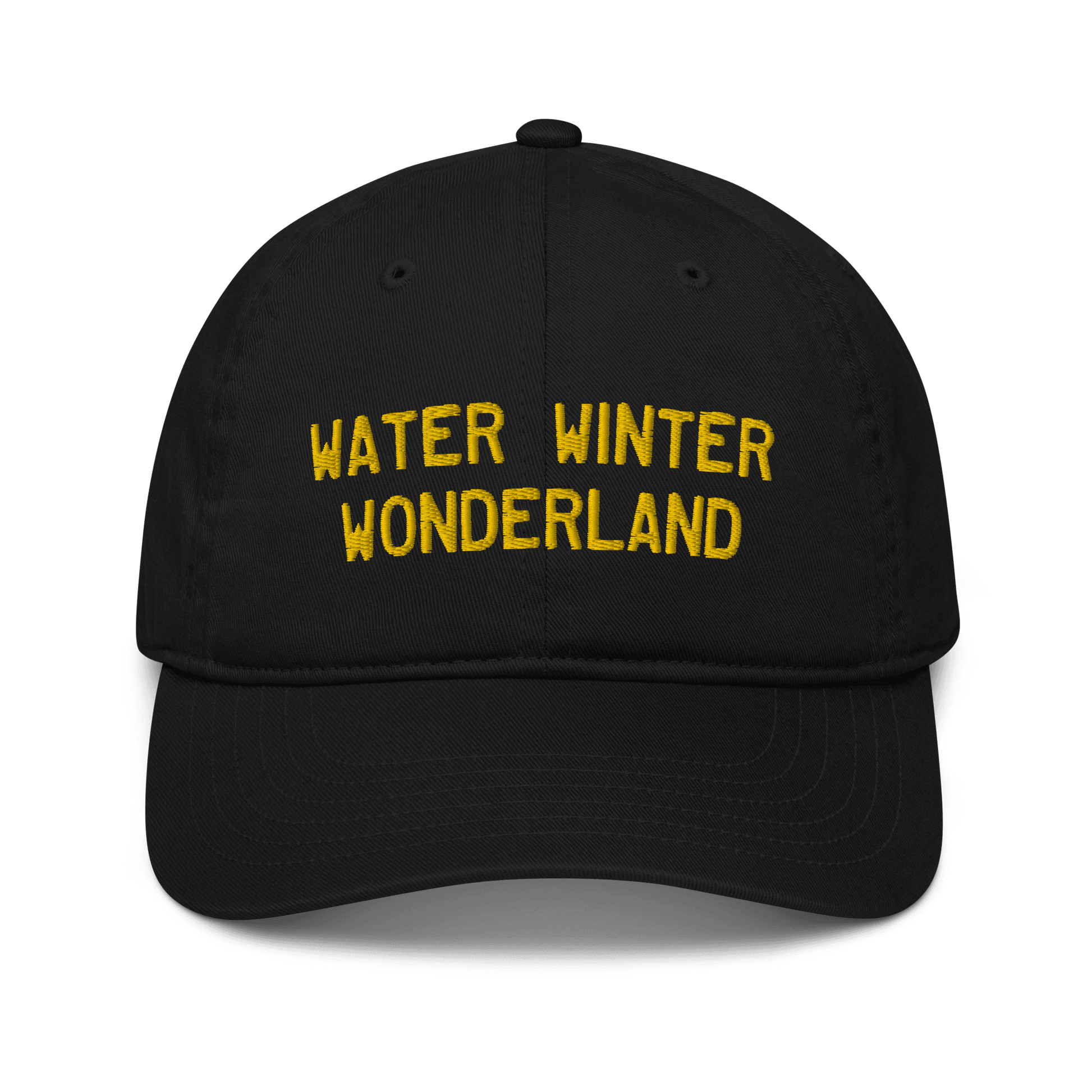 'Water Winter Wonderland' Michigan Baseball Cap - Circumspice Michigan