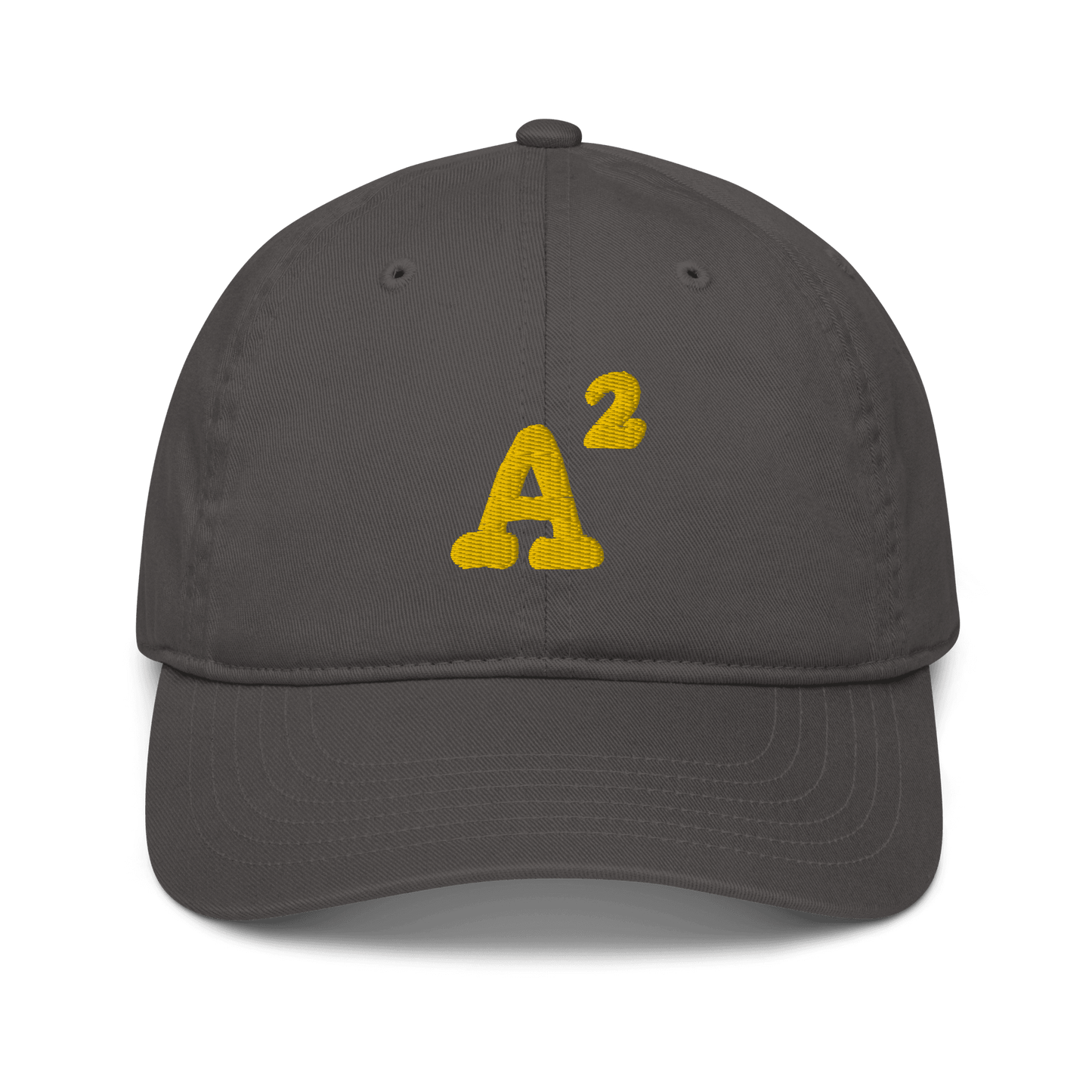 Ann Arbor 'A²' Baseball Cap | Yellow / Navy Embroidery - Circumspice Michigan