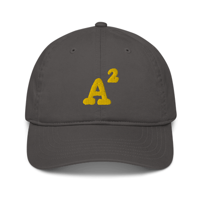 Ann Arbor 'A²' Baseball Cap | Yellow / Navy Embroidery - Circumspice Michigan