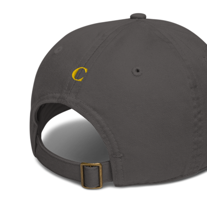 Detroit 'Old French D' Baseball Cap (w/ B-24 Liberator) | Gold Embroidery