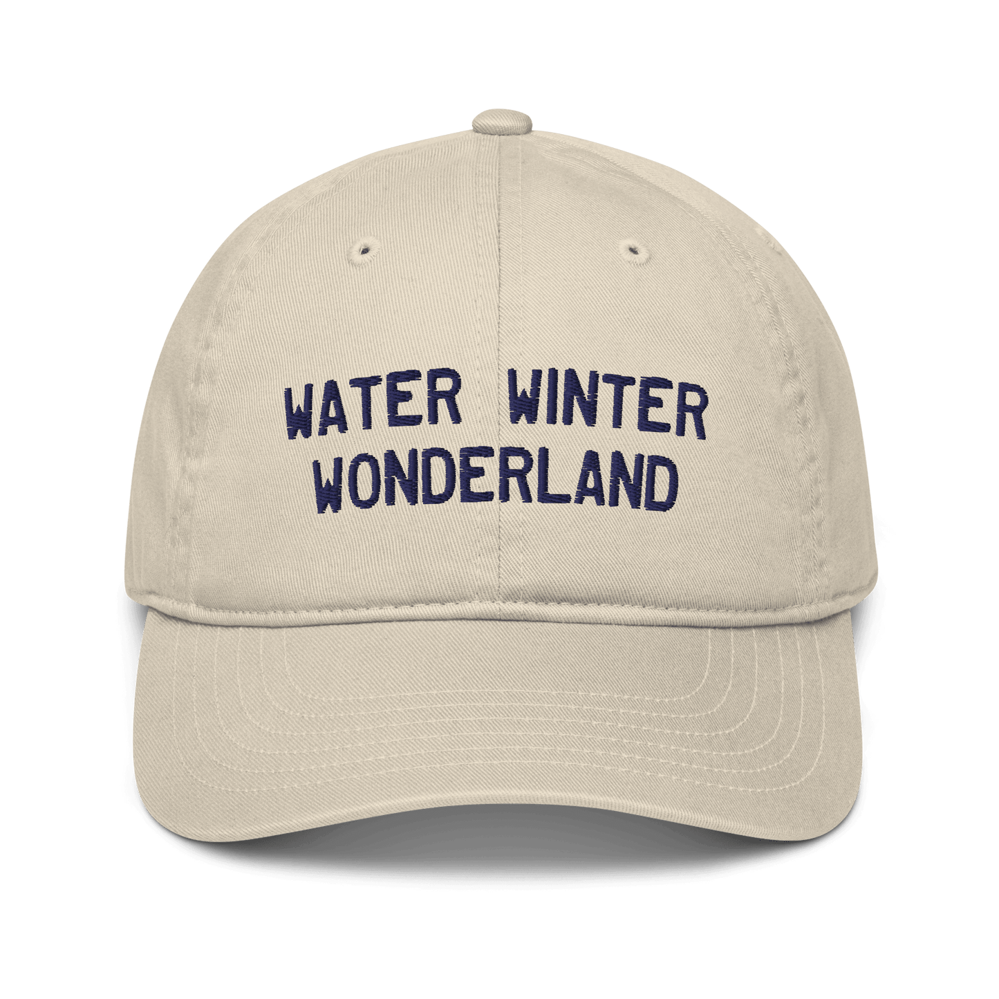 'Water Winter Wonderland' Michigan Baseball Cap - Circumspice Michigan