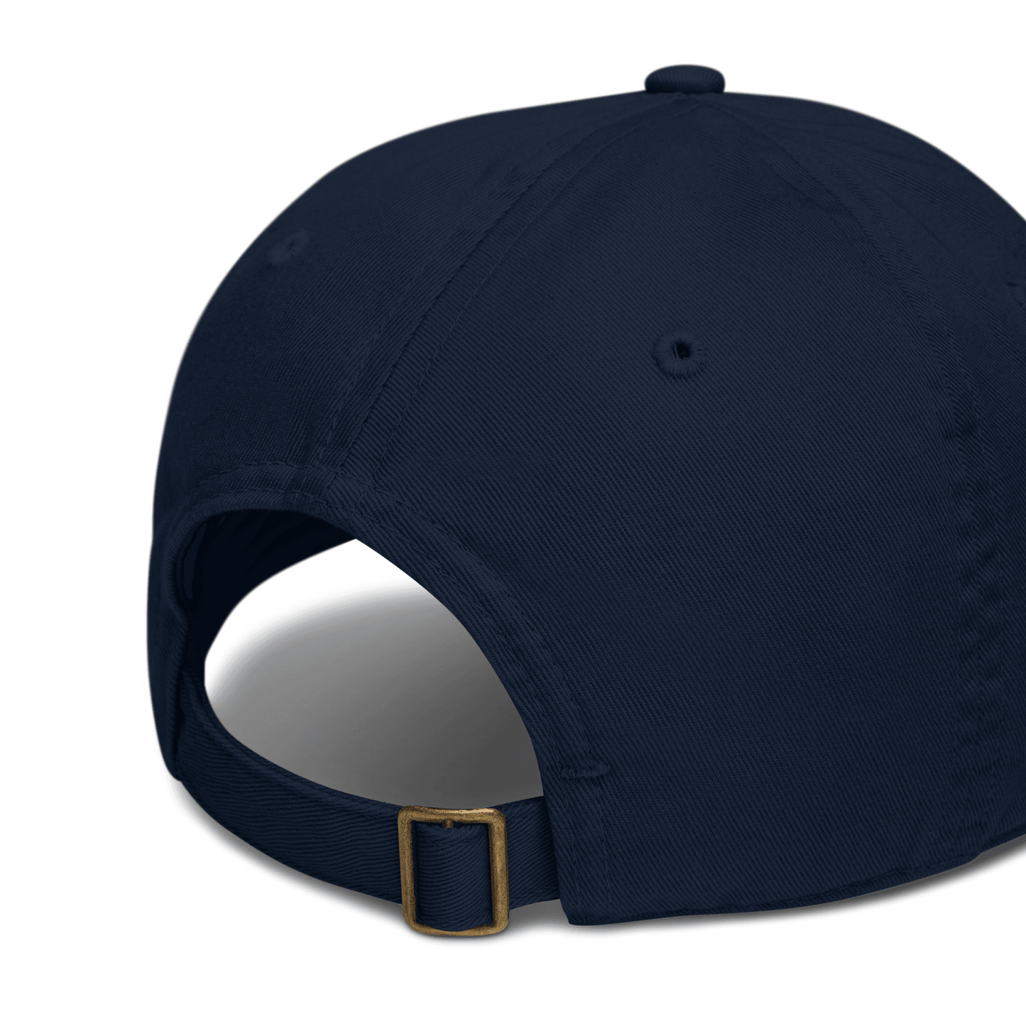 'Ann Arbor Michigan' Baseball Cap (w/ MI Outline) - Circumspice Michigan