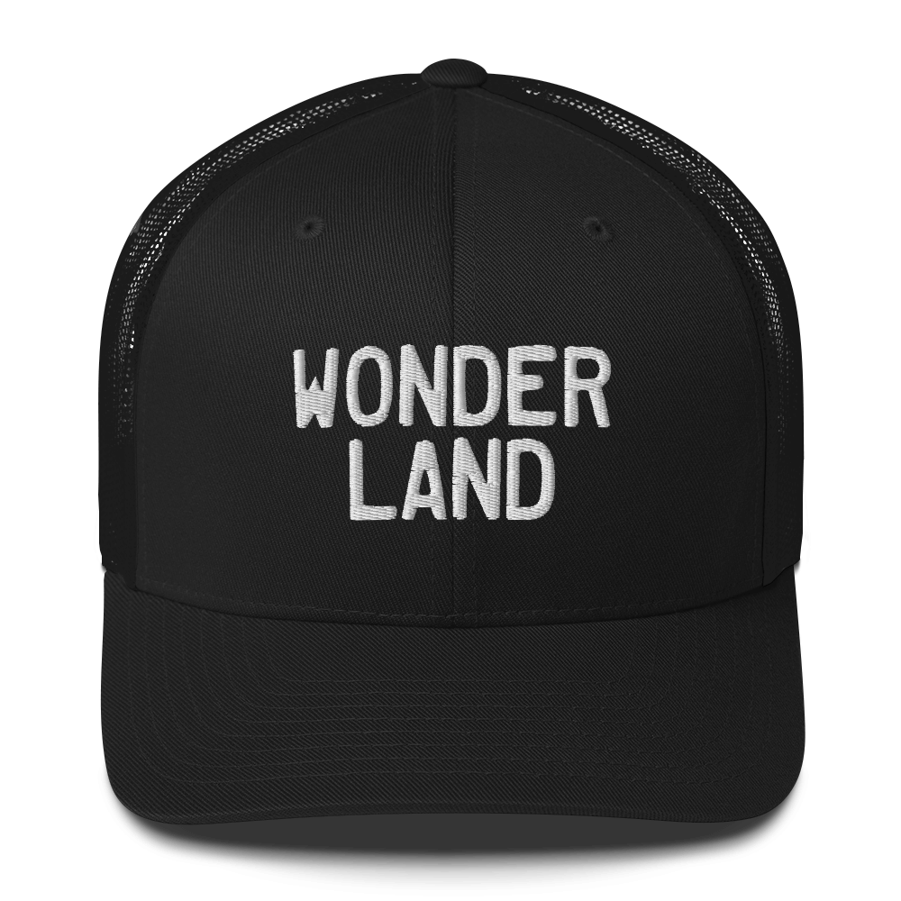 Michigan 'Wonderland' Trucker Cap (Licence Plate Font)