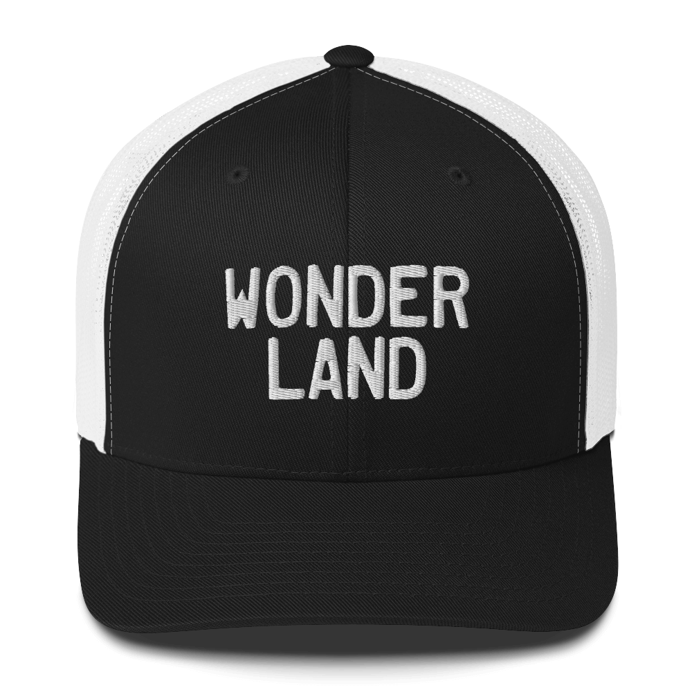 Michigan 'Wonderland' Trucker Cap (Licence Plate Font)