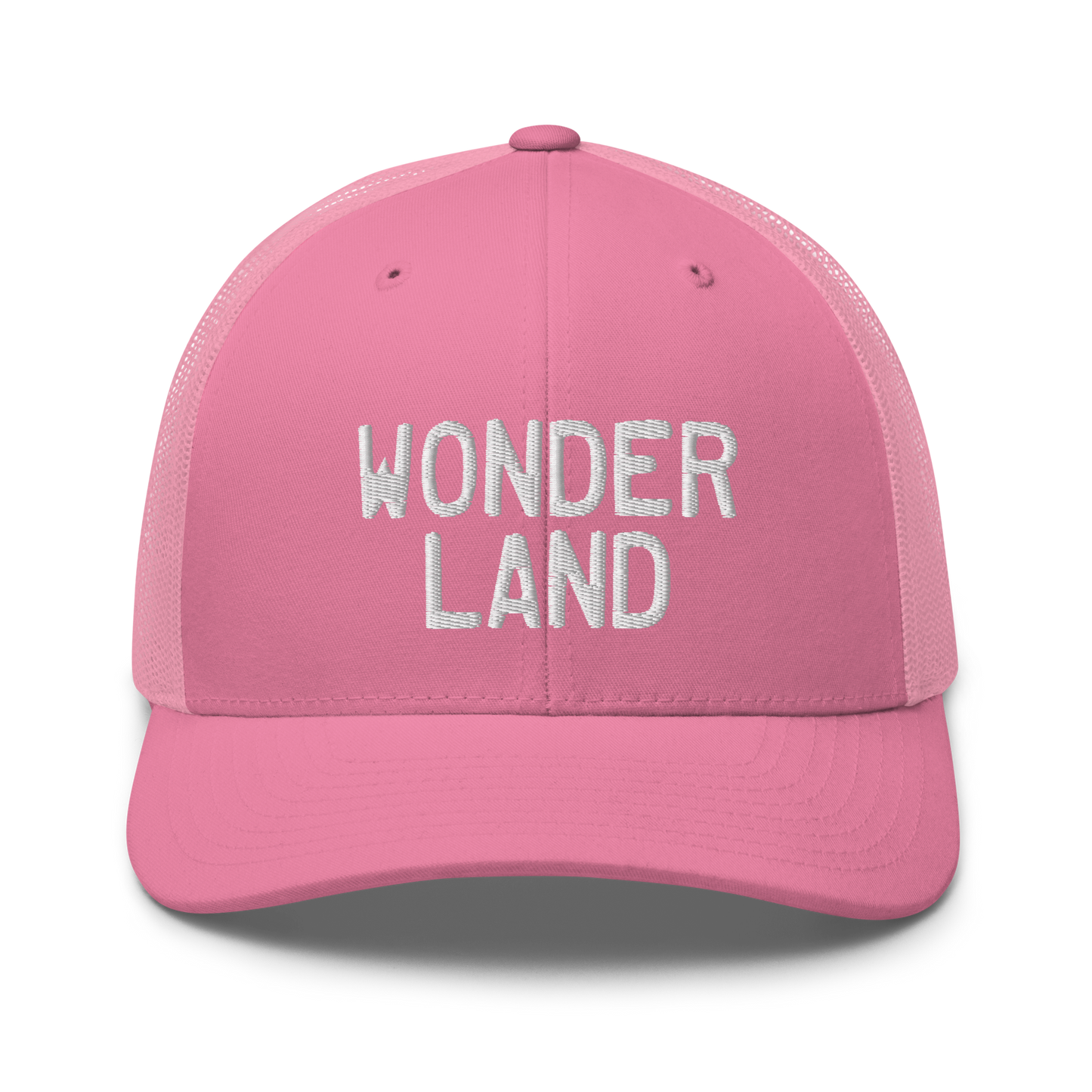 Michigan 'Wonderland' Trucker Cap (Licence Plate Font)