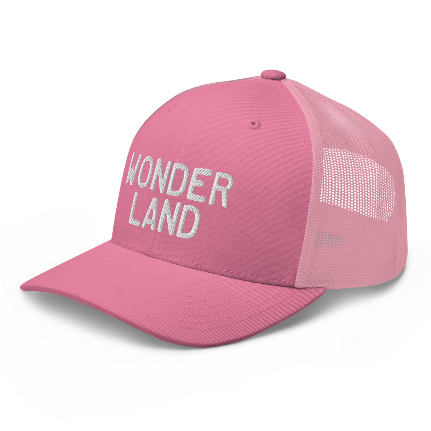 Michigan 'Wonderland' Trucker Cap (Licence Plate Font)