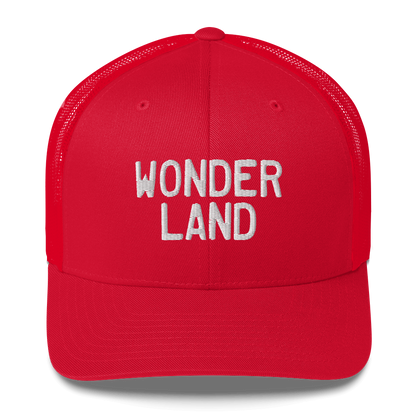 Michigan 'Wonderland' Trucker Cap (Licence Plate Font)