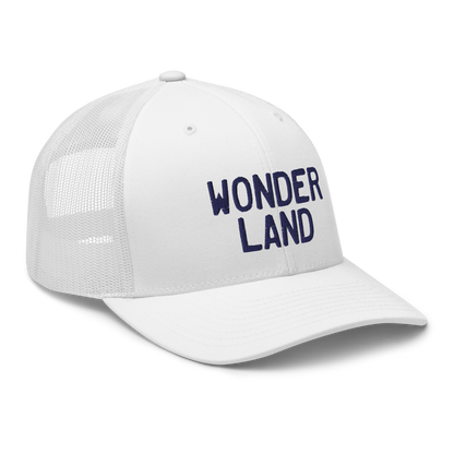 Michigan 'Wonderland' Trucker Cap (Licence Plate Font)