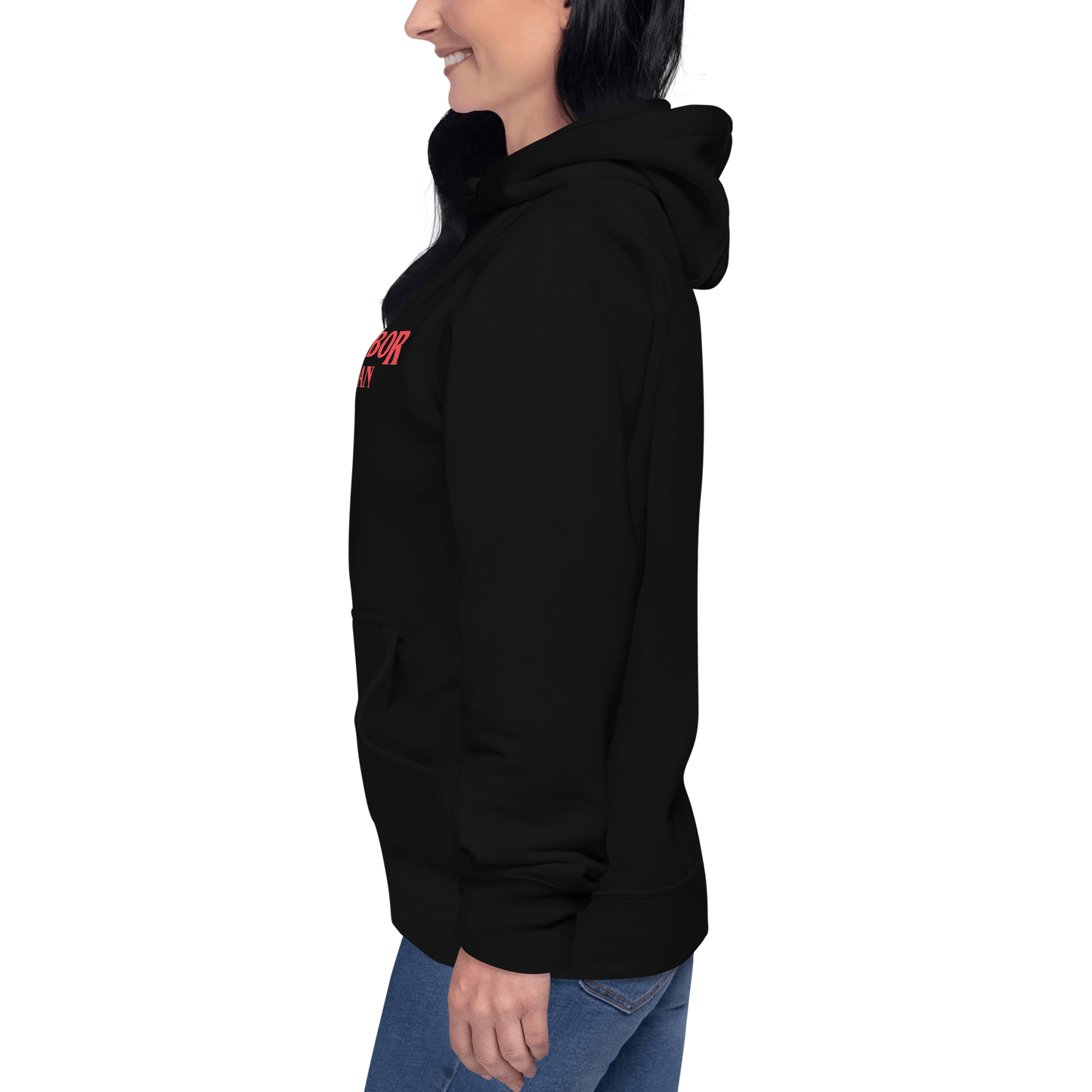 'Ann Arbor Michigan' Unisex Premium Hoodie (1980s Drama Parody)