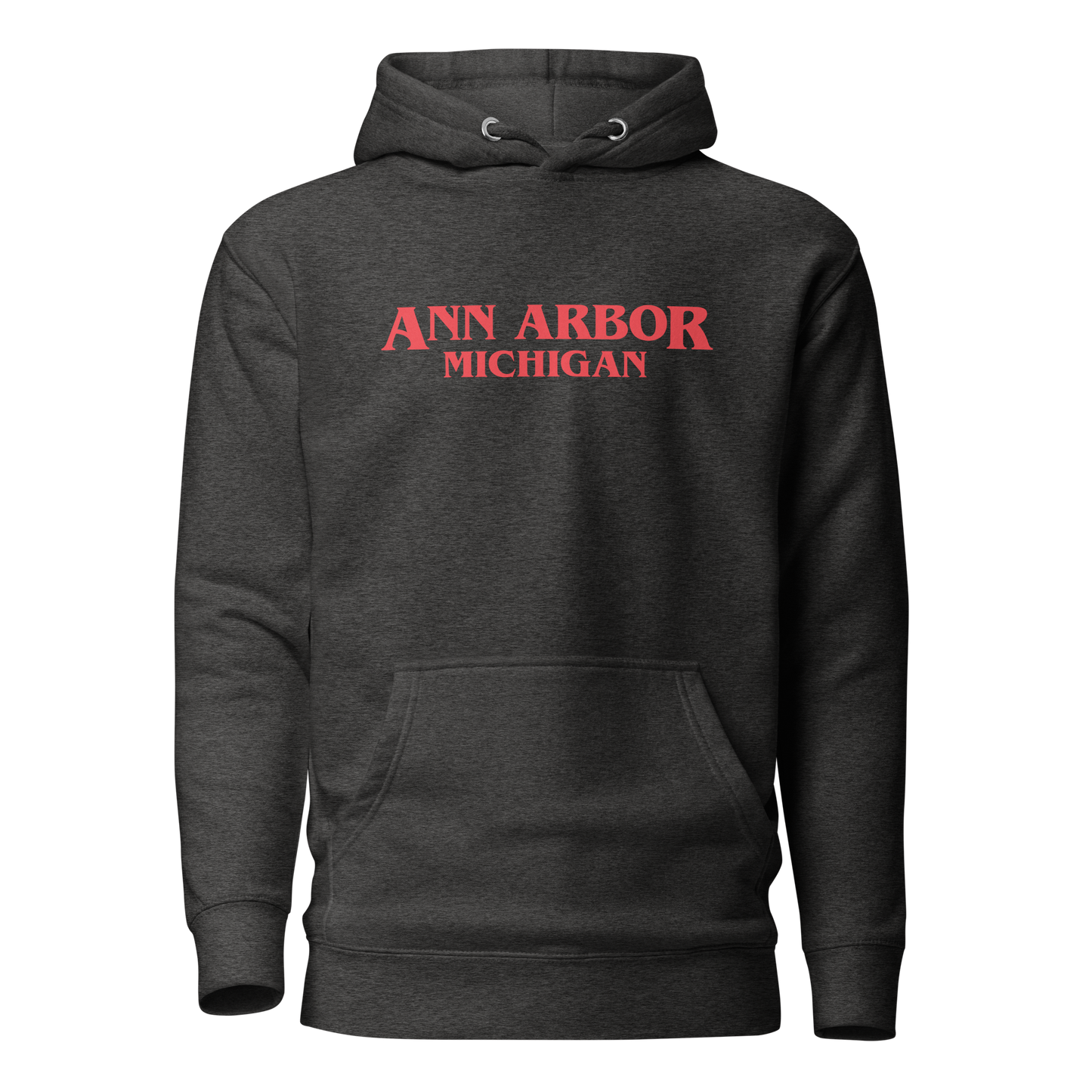 'Ann Arbor Michigan' Unisex Premium Hoodie (1980s Drama Parody)