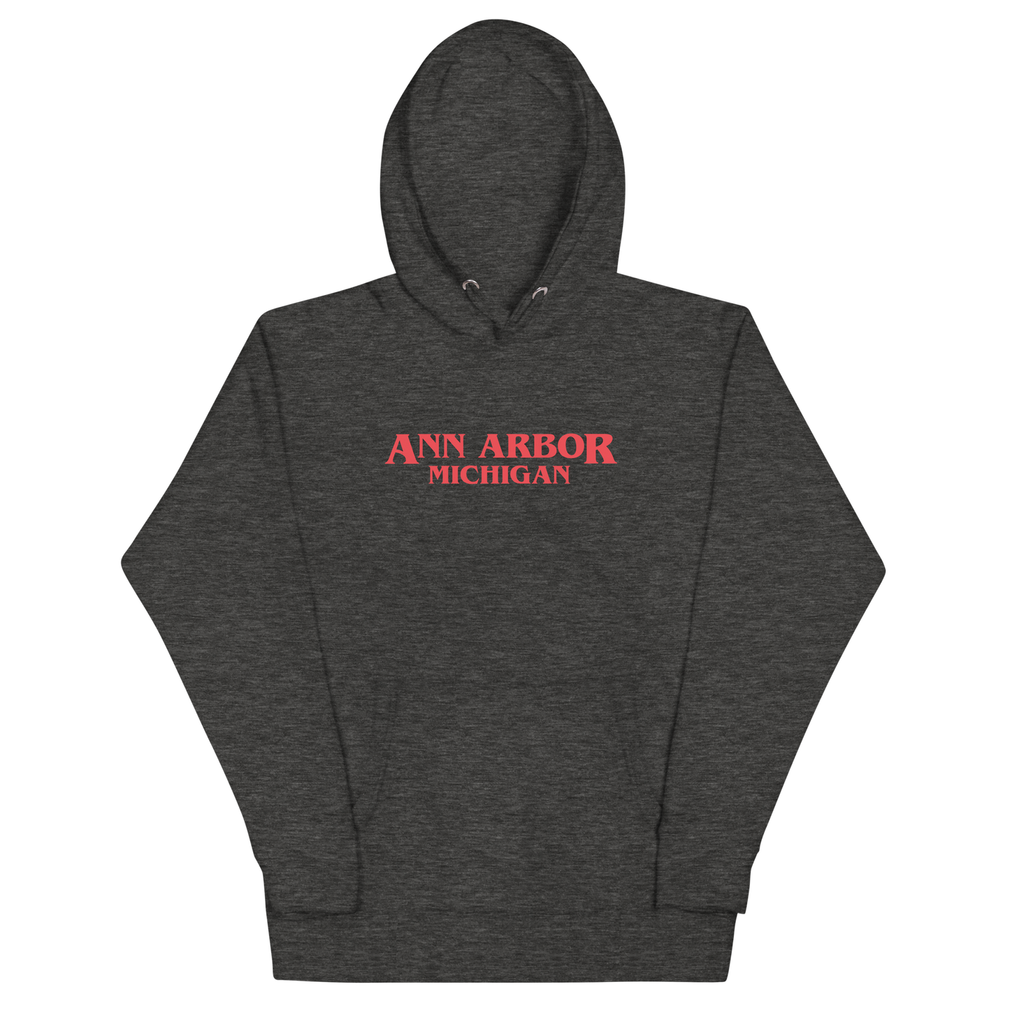 'Ann Arbor Michigan' Unisex Premium Hoodie (1980s Drama Parody)