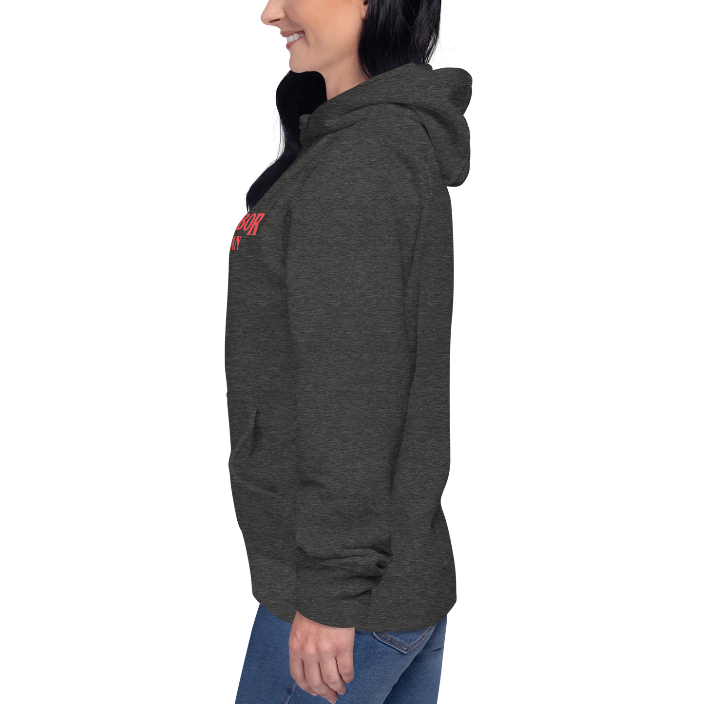 'Ann Arbor Michigan' Unisex Premium Hoodie (1980s Drama Parody)