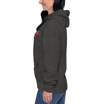 'Ann Arbor Michigan' Unisex Premium Hoodie (1980s Drama Parody)