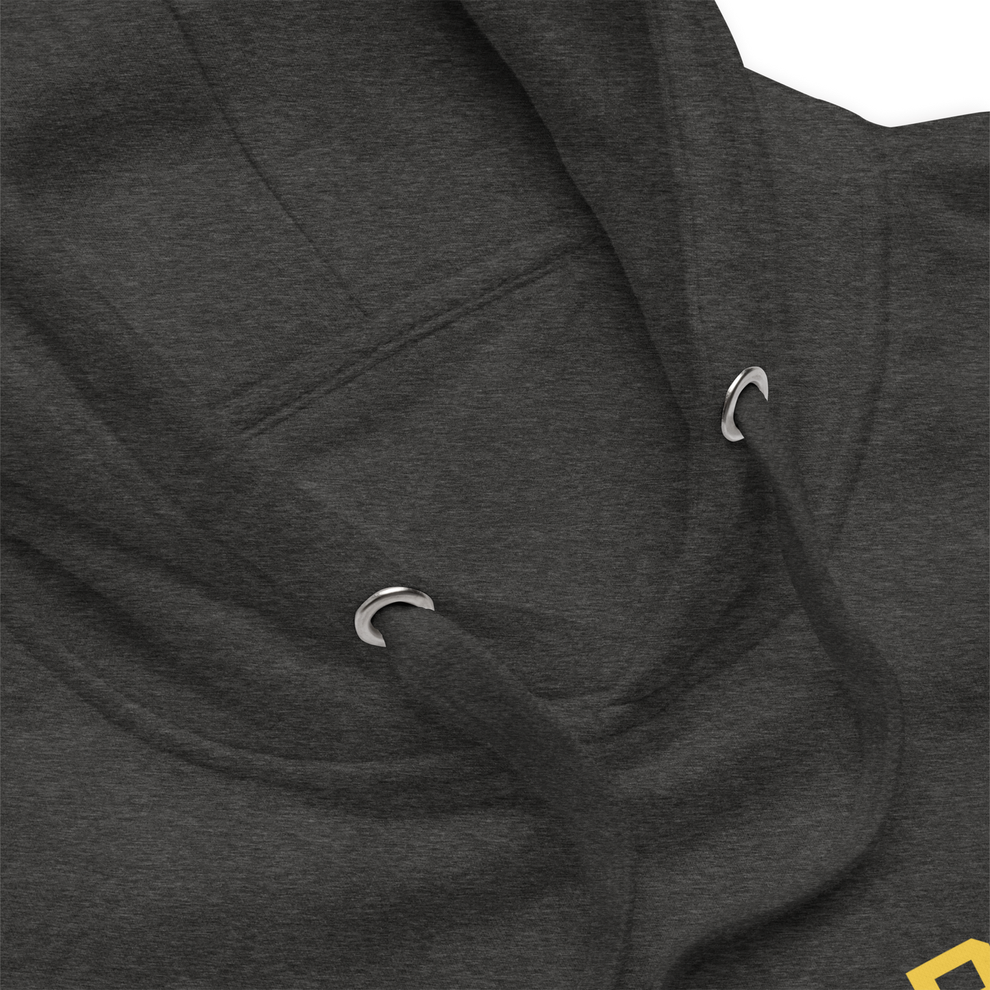 'Ann Arbor EST 1824' Unisex Premium Hoodie (Gold Type w/USA Flag Outline)