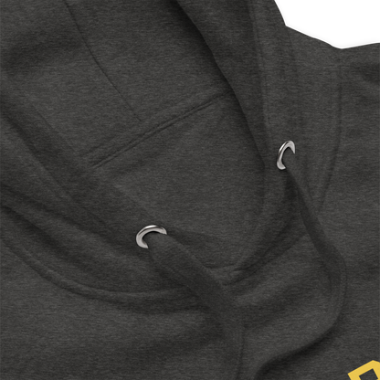 'Ann Arbor EST 1824' Unisex Premium Hoodie (Gold Type w/USA Flag Outline)