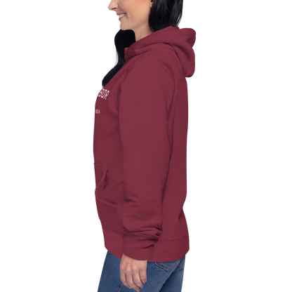 'Ann Arbor 1824' Unisex Premium Hoodie (Pink Type w/USA Flag Outline)