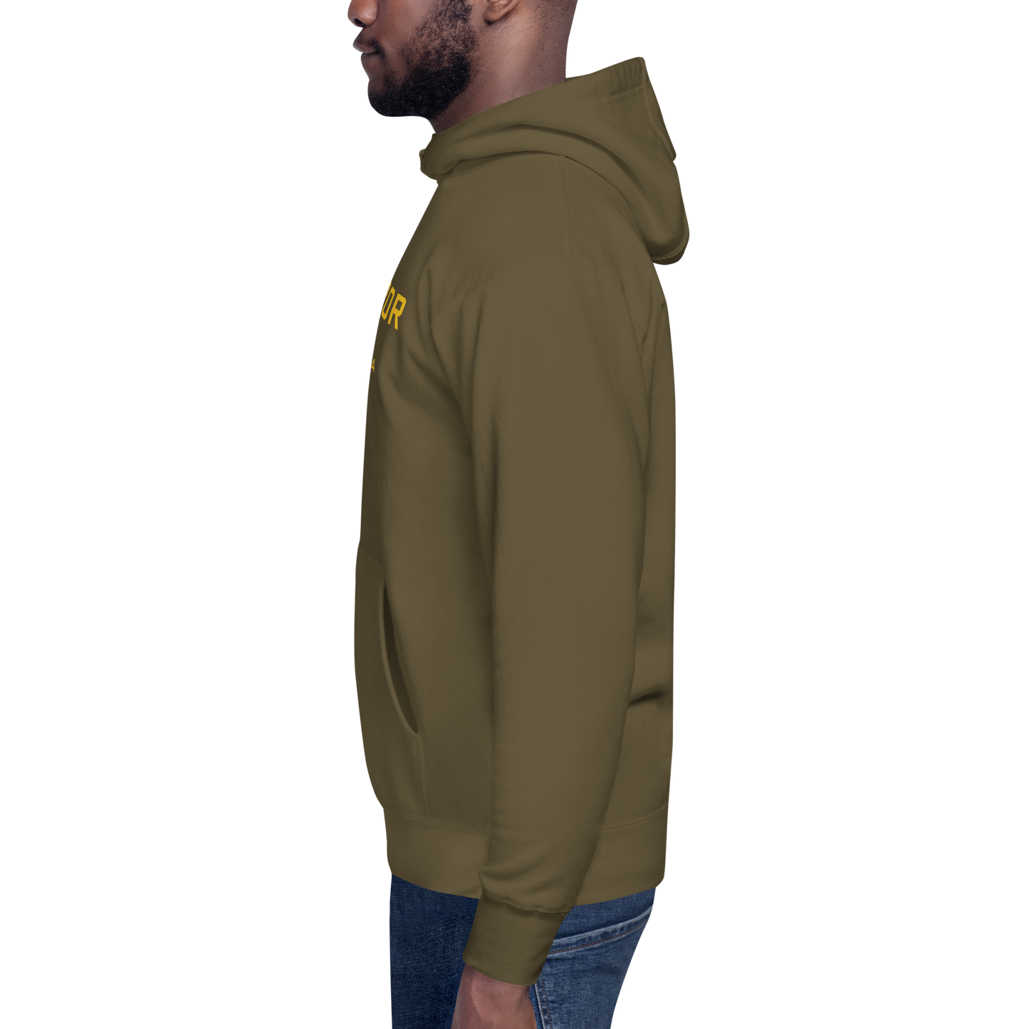 'Ann Arbor EST 1824' Unisex Premium Hoodie (Gold Type w/USA Flag Outline)