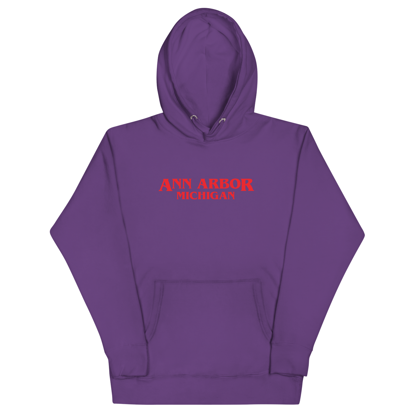 'Ann Arbor Michigan' Unisex Premium Hoodie (1980s Drama Parody)