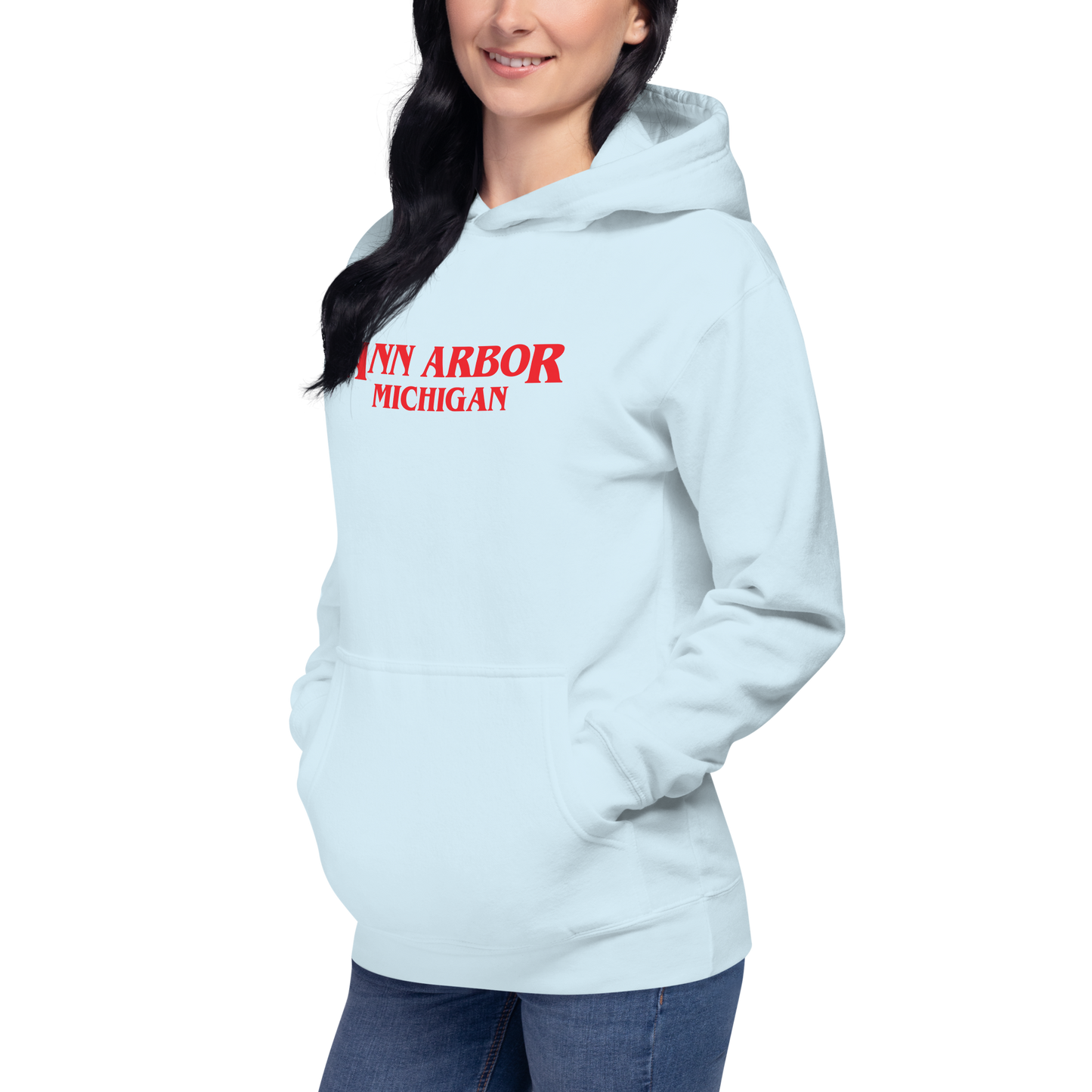 'Ann Arbor Michigan' Unisex Premium Hoodie (1980s Drama Parody)