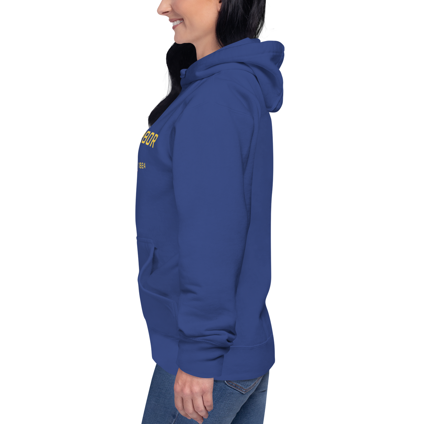 'Ann Arbor EST 1824' Unisex Premium Hoodie (Gold Type w/USA Flag Outline)