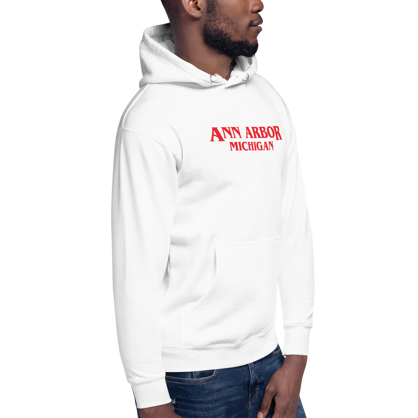 'Ann Arbor Michigan' Unisex Premium Hoodie (1980s Drama Parody)