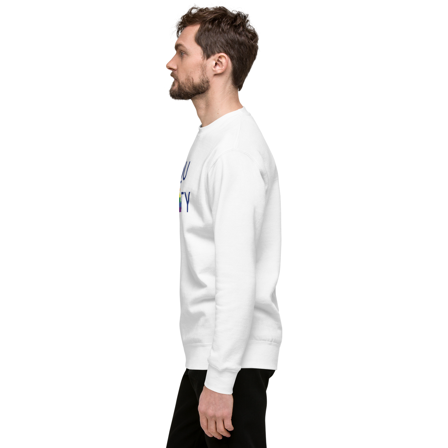 Michigan 'Equality' Premium Sweatshirt (LGBTQ Pride Colors)