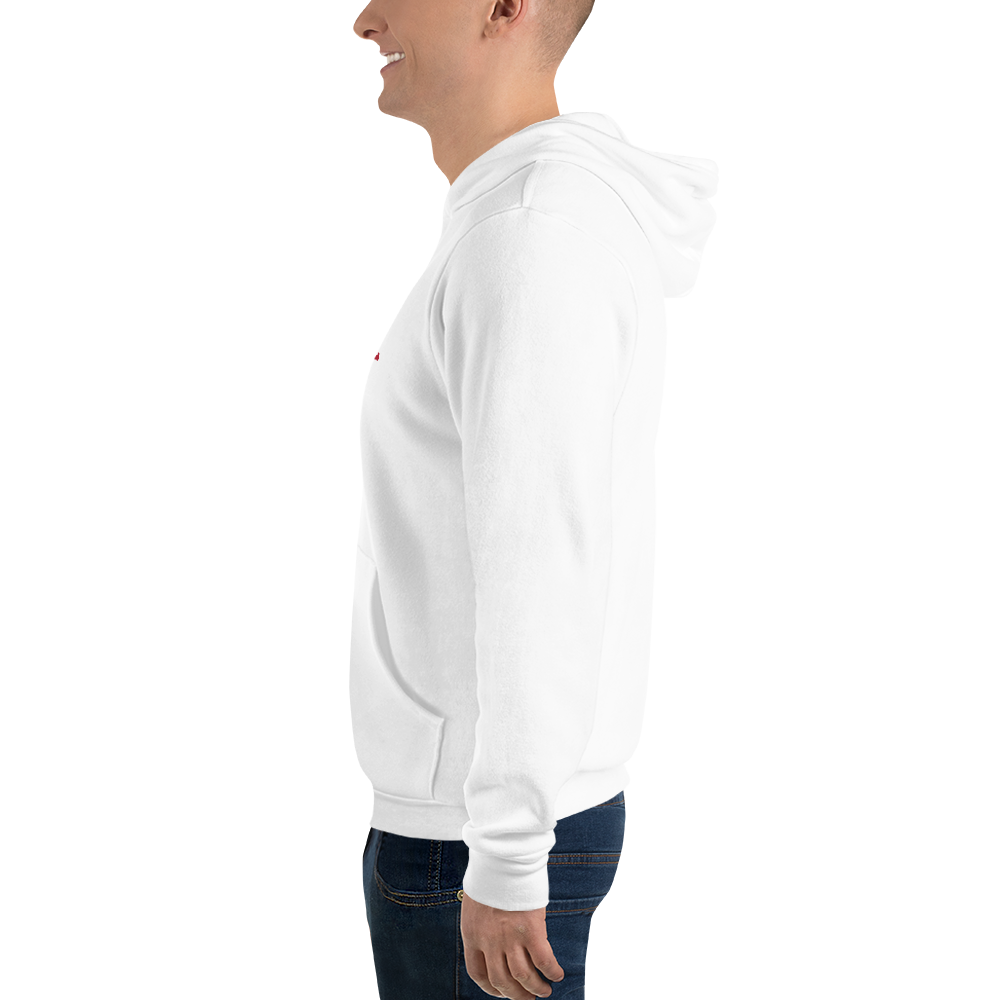 Michigan Upper Peninsula Hoodie (w/ UP MI USA Flag Outline) | Unisex Cloud Fleece