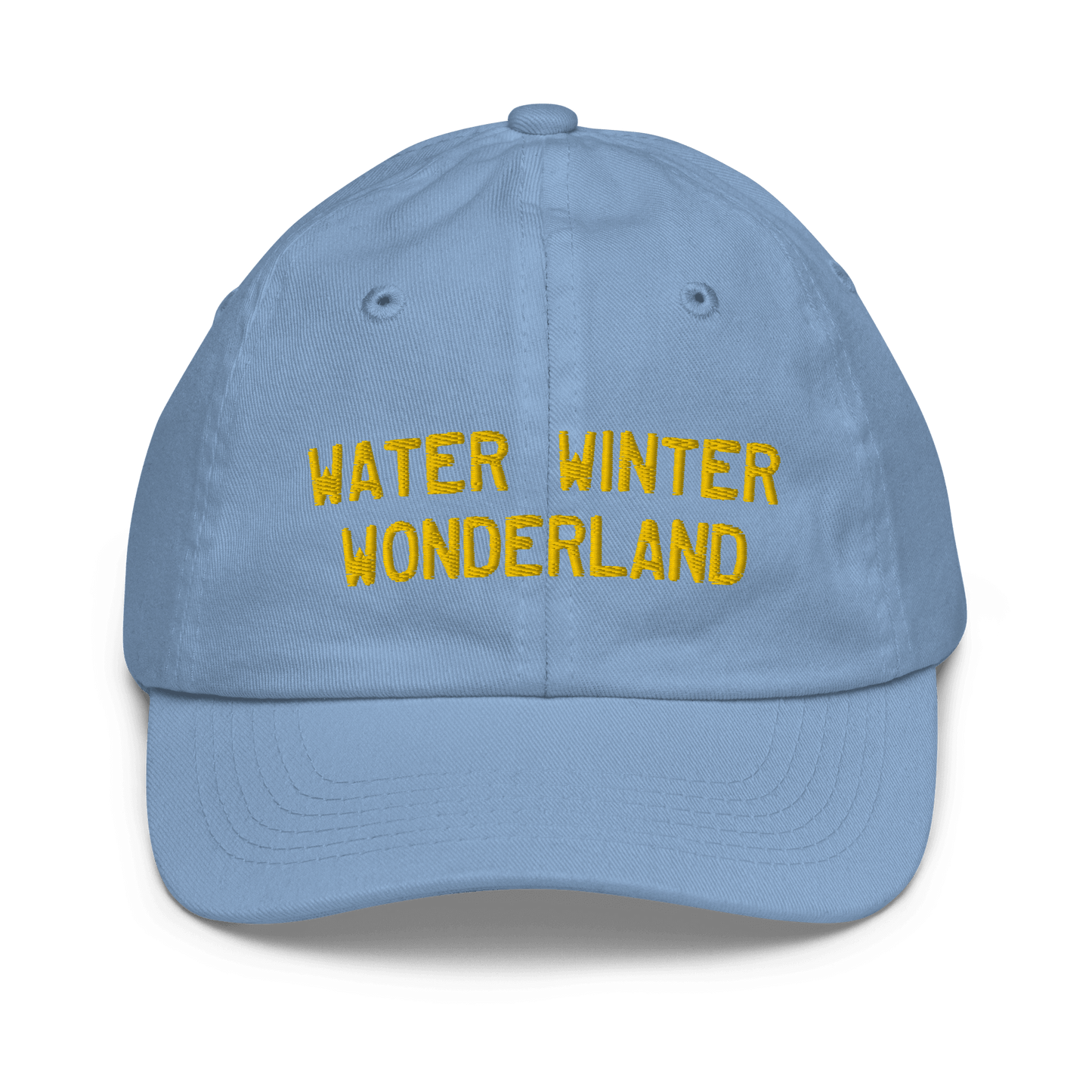 'Water Winter Wonderland' Michigan Youth Baseball Cap - Circumspice Michigan