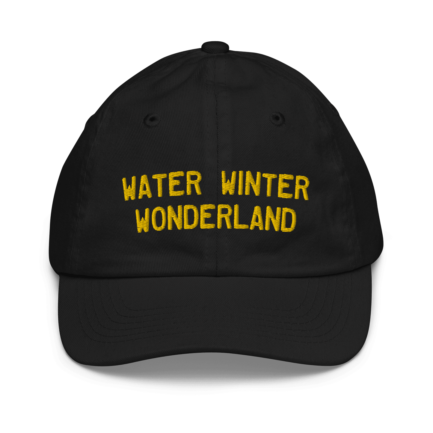 'Water Winter Wonderland' Michigan Youth Baseball Cap - Circumspice Michigan