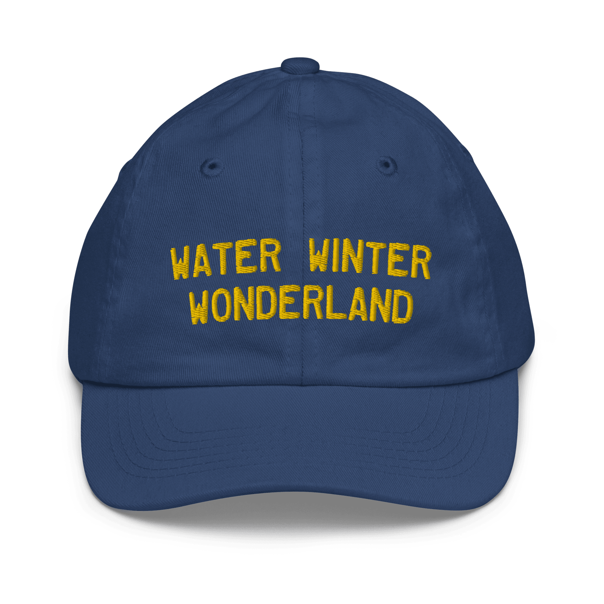 'Water Winter Wonderland' Michigan Youth Baseball Cap - Circumspice Michigan