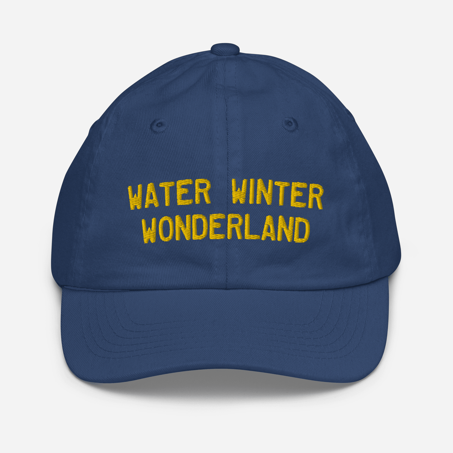 'Water Winter Wonderland' Michigan Youth Baseball Cap - Circumspice Michigan